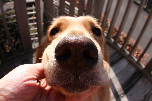 ファイル 530-2.jpg