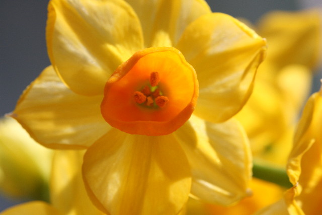 ファイル 530-4.jpg