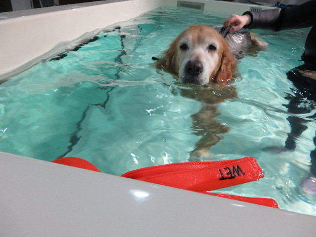 ファイル 5300-1.jpg