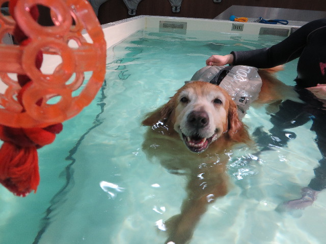 ファイル 5300-4.jpg