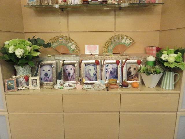 ファイル 5301-4.jpg