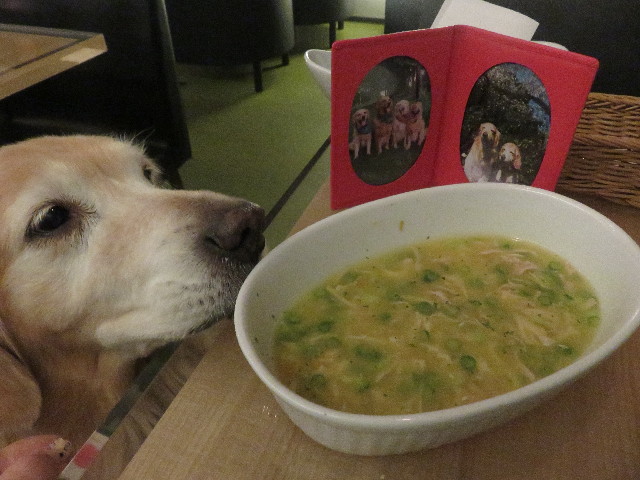 ファイル 5302-3.jpg