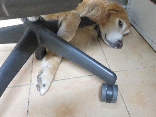 ファイル 5305-2.jpg