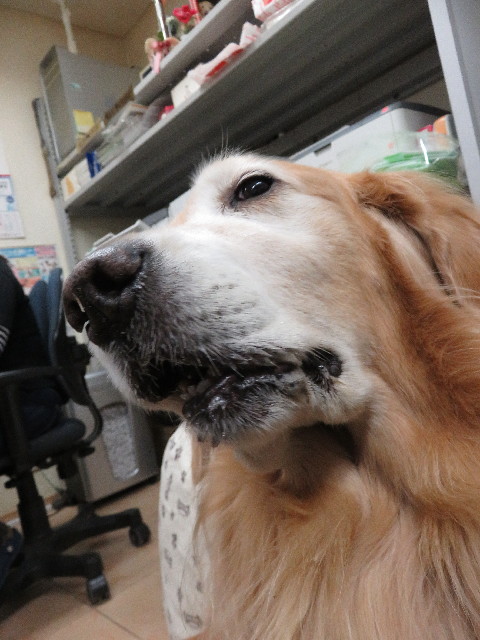 ファイル 5305-4.jpg