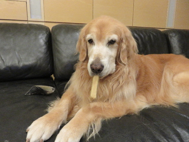 ファイル 5305-5.jpg