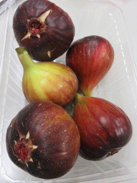 ファイル 5306-4.jpg