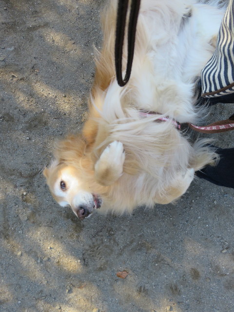 ファイル 5306-5.jpg