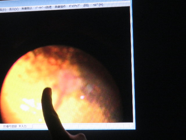 ファイル 5307-1.jpg