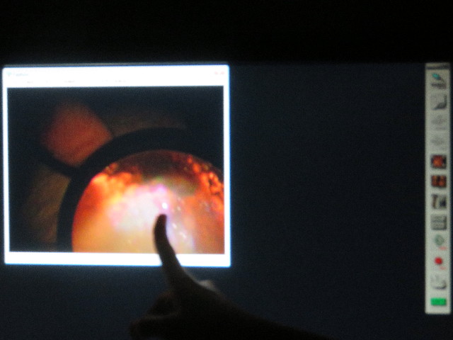 ファイル 5307-2.jpg