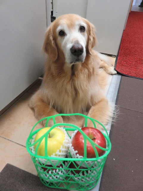 ファイル 5307-4.jpg