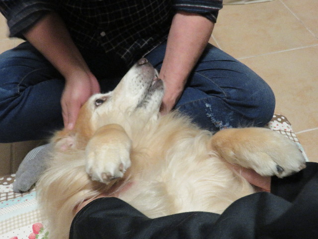 ファイル 5308-5.jpg