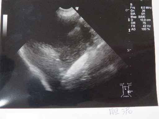 ファイル 5309-3.jpg