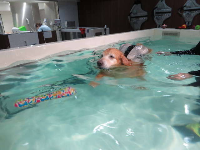 ファイル 5310-3.jpg