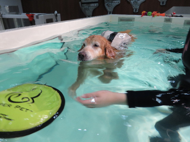 ファイル 5310-5.jpg