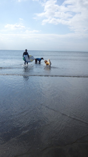 ファイル 5314-3.jpg