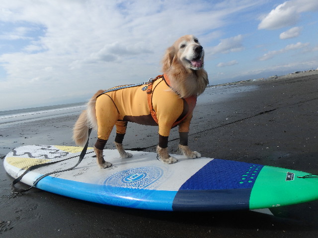 ファイル 5315-2.jpg