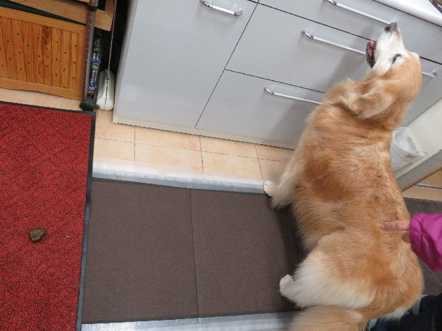 ファイル 5316-2.jpg