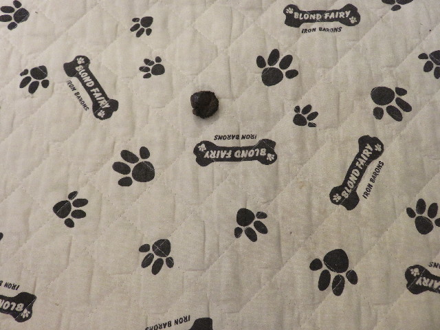 ファイル 5316-3.jpg