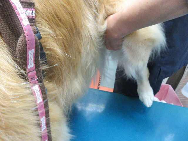 ファイル 5318-2.jpg