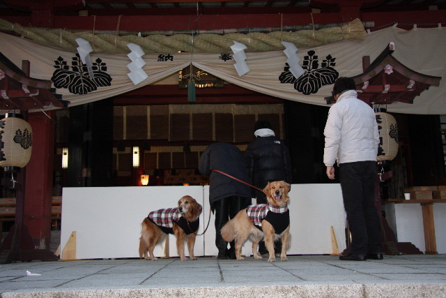 ファイル 532-1.jpg