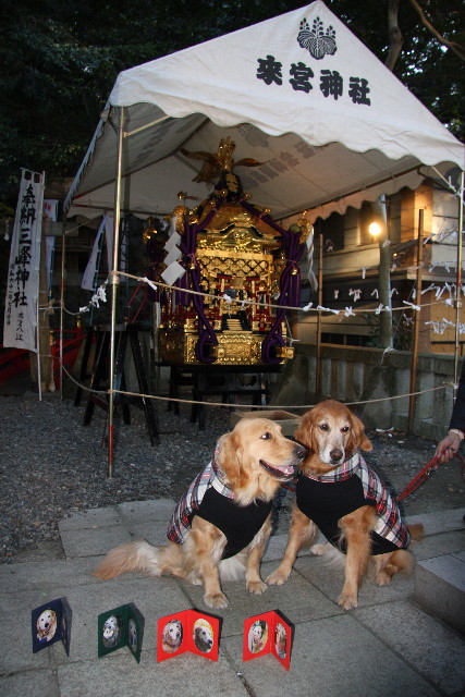 ファイル 532-2.jpg