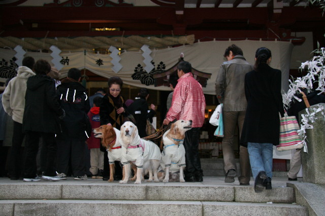 ファイル 532-3.jpg