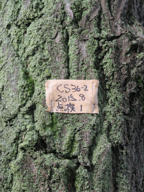 ファイル 5322-3.jpg