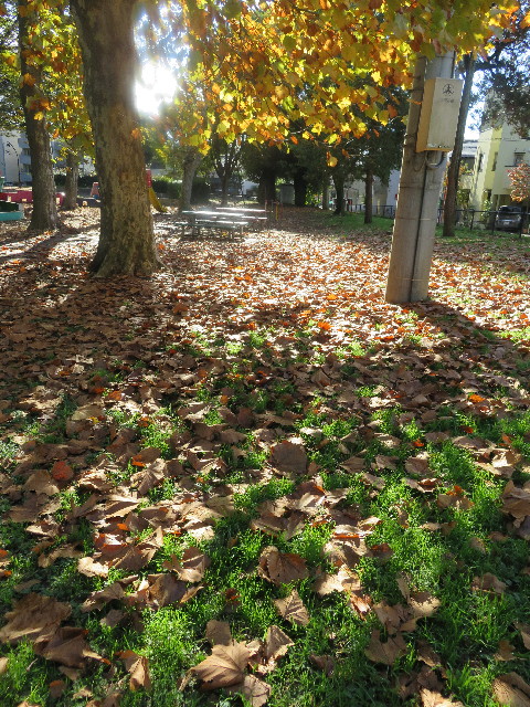 ファイル 5327-1.jpg