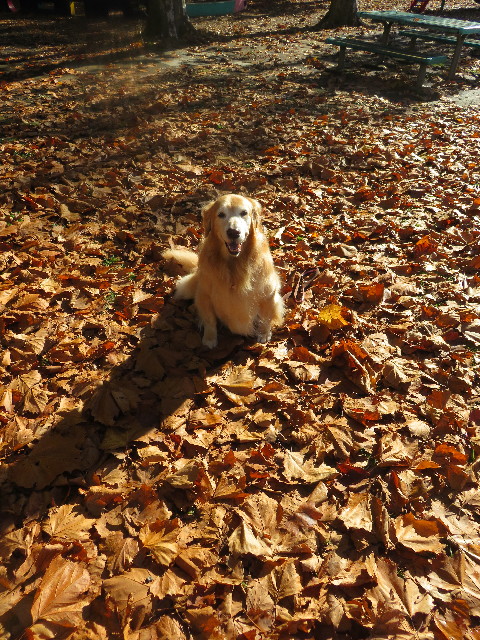 ファイル 5327-5.jpg