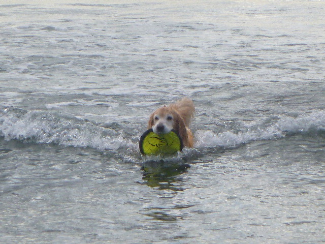 ファイル 5328-1.jpg