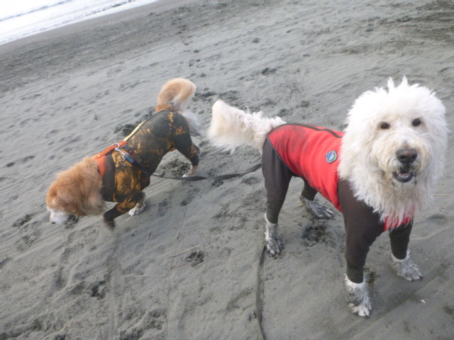 ファイル 5328-4.jpg