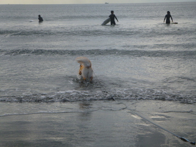 ファイル 5328-5.jpg