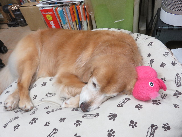 ファイル 5329-1.jpg