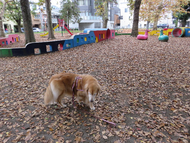 ファイル 5329-3.jpg