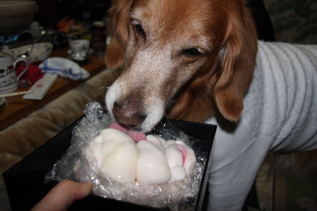 ファイル 533-4.jpg