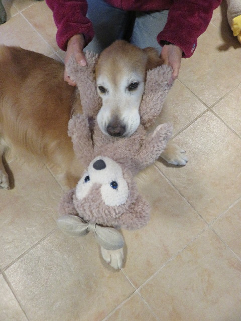 ファイル 5330-2.jpg