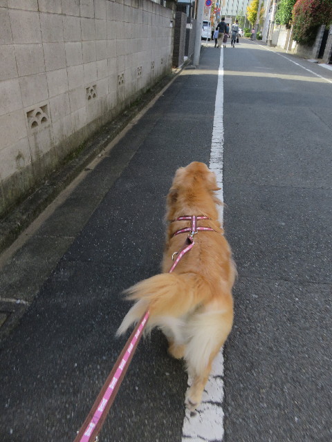 ファイル 5330-4.jpg