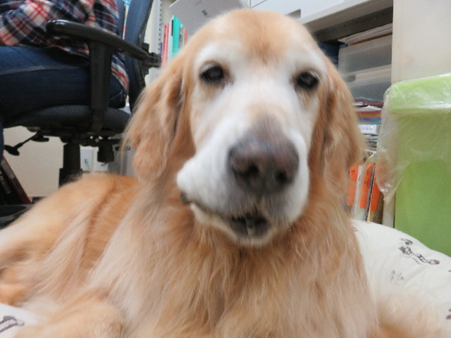 ファイル 5330-5.jpg