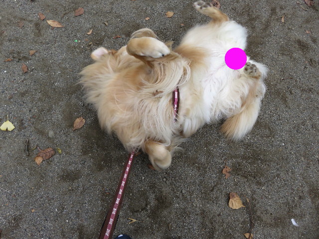 ファイル 5331-2.jpg