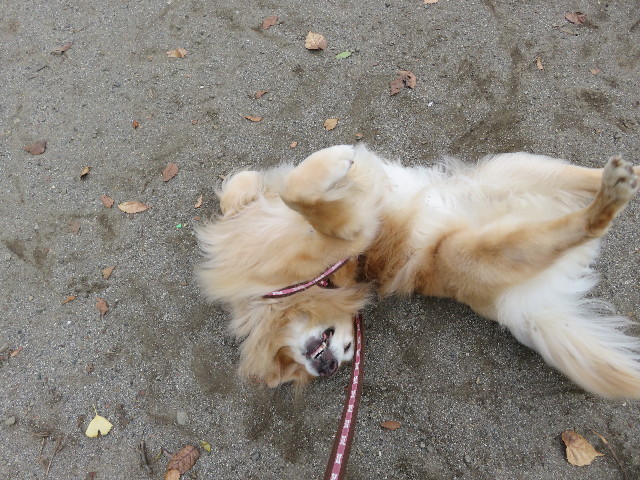 ファイル 5331-3.jpg