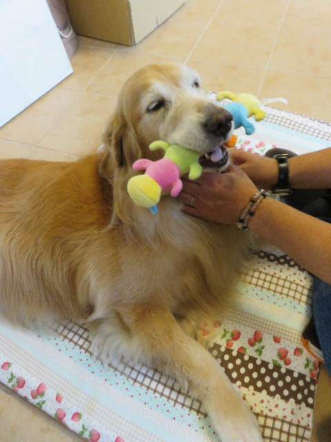 ファイル 5331-4.jpg