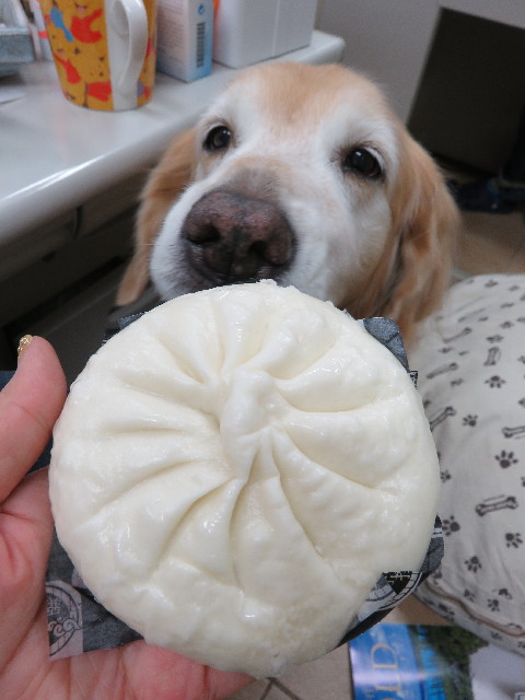 ファイル 5332-3.jpg