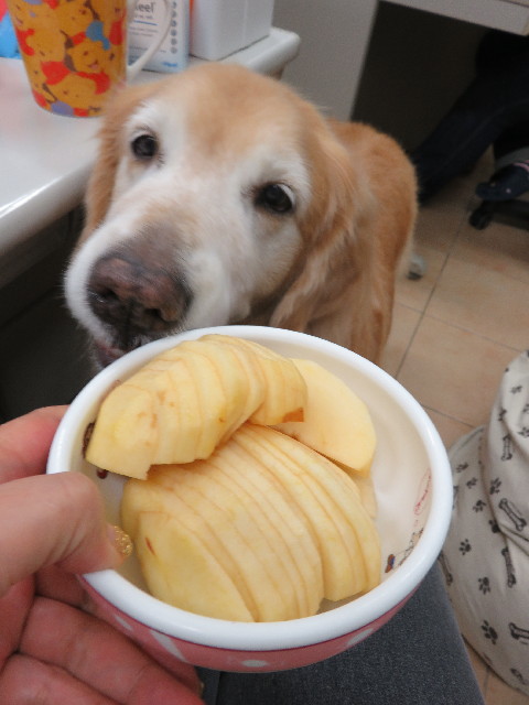 ファイル 5332-5.jpg