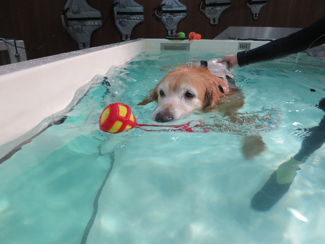 ファイル 5336-2.jpg