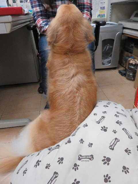 ファイル 5337-2.jpg