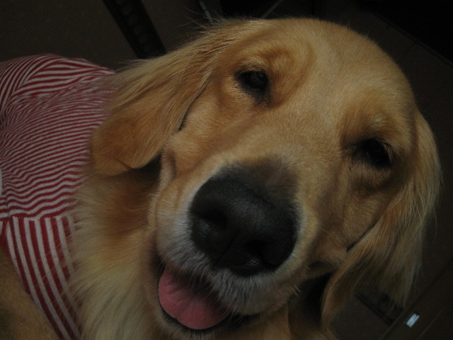 ファイル 534-2.jpg