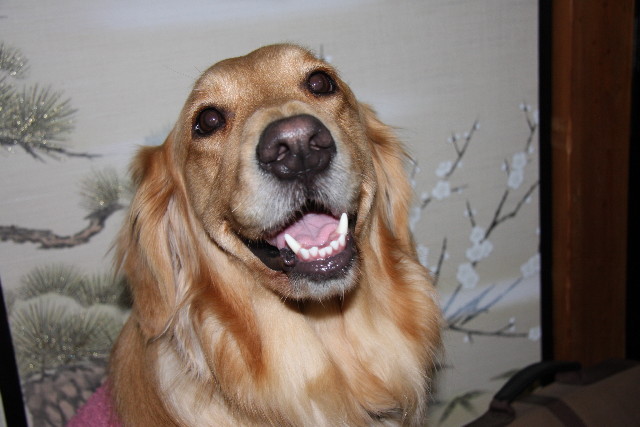 ファイル 534-4.jpg