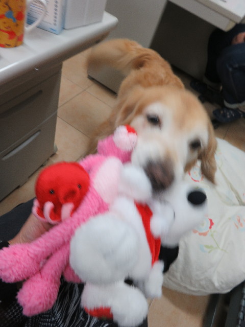 ファイル 5344-1.jpg