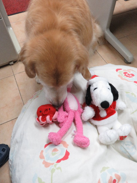 ファイル 5344-2.jpg