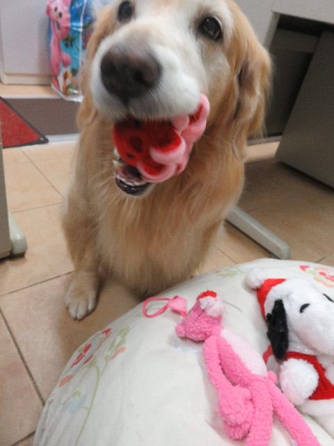 ファイル 5344-3.jpg